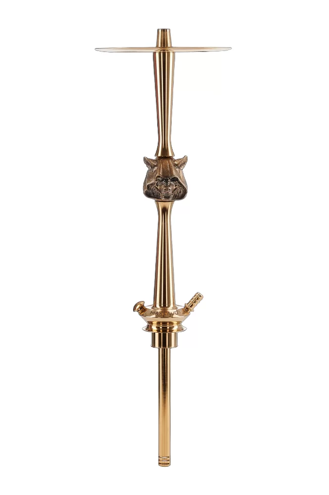 Maklaud X Gazzik Gold Shisha